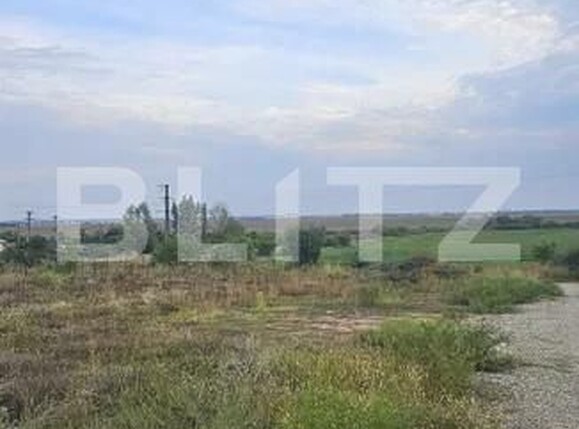 Teren de vânzare Paulesti - 159426TV | BLITZ Ploieşti | Poza2