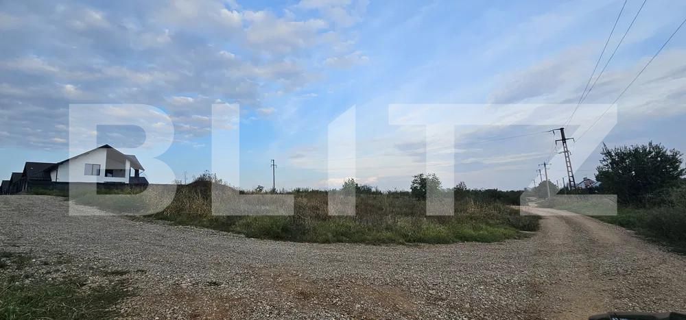 Teren de vânzare Paulesti - 159426TV | BLITZ Ploieşti | Poza3