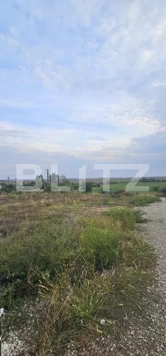 Teren de vânzare Paulesti - 159426TV | BLITZ Ploieşti | Poza2