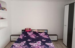 Casa renovata complet 4 camere , Living Open space , plus casa la rosu in spate 