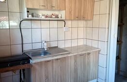 Casa renovata complet 4 camere , Living Open space , plus casa la rosu in spate 