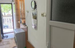 Garsoniera confort 1, Bulevardul Castanilor. Oportunitate