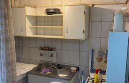 Garsoniera confort 1, Bulevardul Castanilor. Oportunitate