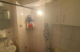 Garsoniera confort 1, Bulevardul Castanilor. Oportunitate