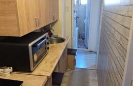 Apartament 1 camera, zona Vest 