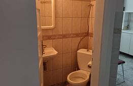 Apartament Ultracentral 2 camere, spatios si complet mobilat 