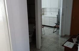 Apartament Ultracentral 2 camere, spatios si complet mobilat 