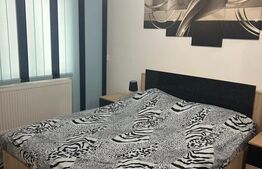 Apartament 2 camere, zona Sud