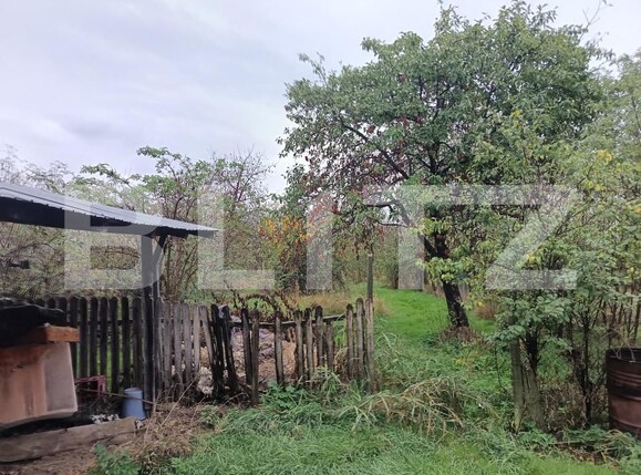 Casa de vânzare 7 camere Magurele - 159949CV | BLITZ Ploieşti | Poza15