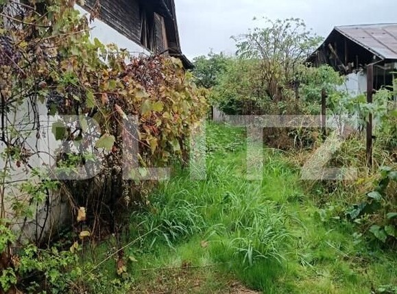 Casa de vânzare 7 camere Magurele - 159949CV | BLITZ Ploieşti | Poza12