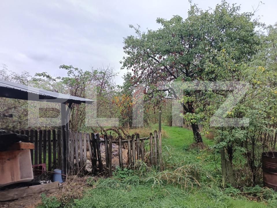 Casa de vânzare 7 camere Magurele - 159949CV | BLITZ Ploieşti | Poza5