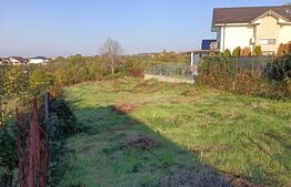 Teren intravilan Blejoi , zona linistita , 1000 mp, utilitati la strada !