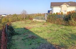 Teren intravilan Blejoi , zona linistita , 1000 mp, utilitati la strada !