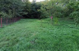 Casa 4 camere , curte si teren generos intr-o zona superba, Valenii de Munte 