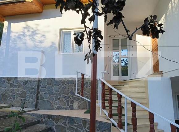 Casa de vânzare 4 camere Valenii de Munte - 160349CV | BLITZ Ploieşti | Poza11