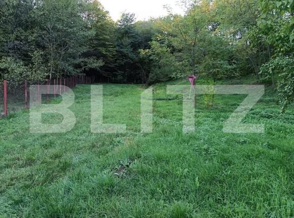 Casa de vânzare 4 camere Valenii de Munte - 160349CV | BLITZ Ploieşti | Poza8