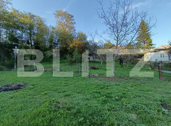 Casa de vânzare 4 camere Valenii de Munte - 160349CV | BLITZ Ploieşti | Poza9