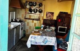 Casa Comuna Plopu , Sat Nisipoasa cu teren aproape de padure !