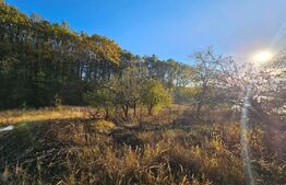 Casa Comuna Plopu , Sat Nisipoasa cu teren aproape de padure !