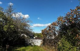 Casa Comuna Plopu , Sat Nisipoasa cu teren aproape de padure !