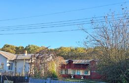 Casa Comuna Plopu , Sat Nisipoasa cu teren aproape de padure !