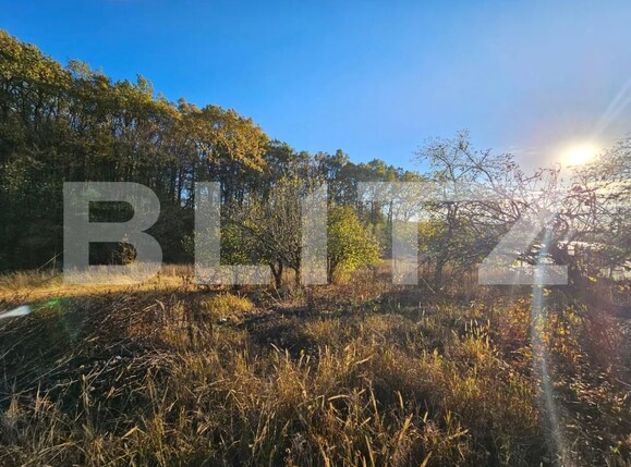 Casa de vânzare 4 camere Nisipoasa - 160633CV | BLITZ Ploieşti | Poza10