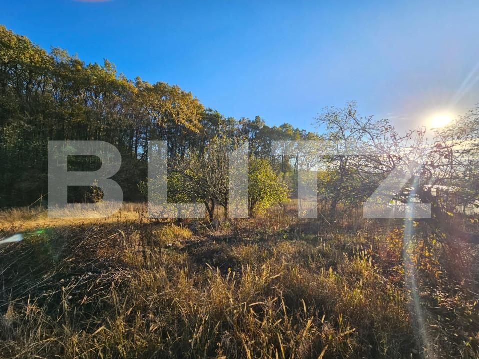 Casa de vânzare 4 camere Nisipoasa - 160633CV | BLITZ Ploieşti | Poza10