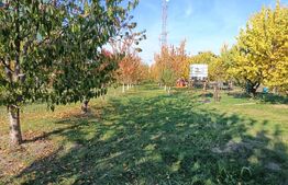 Teren Intravilan 6300 mp Magurele Prahova , Oportunitate !