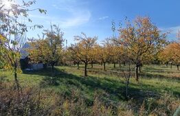 Teren Intravilan 6300 mp Magurele Prahova , Oportunitate !