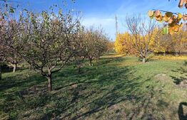 Teren Intravilan 6300 mp Magurele Prahova , Oportunitate !