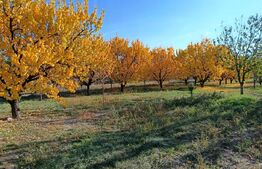 Teren Intravilan 6300 mp Magurele Prahova , Oportunitate !