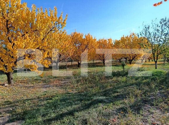 Teren de vânzare Magurele - 161108TV | BLITZ Ploieşti | Poza1