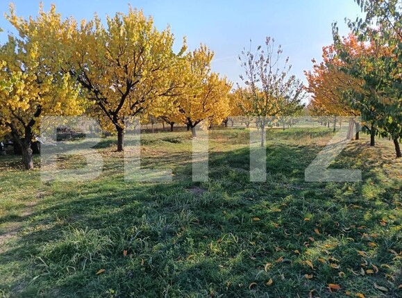 Teren de vânzare Magurele - 161108TV | BLITZ Ploieşti | Poza6