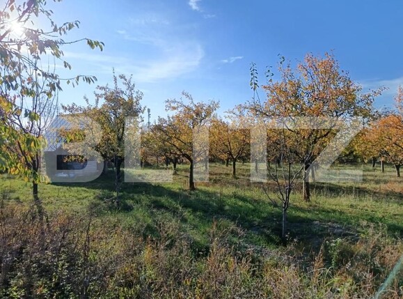 Teren de vânzare Magurele - 161108TV | BLITZ Ploieşti | Poza4