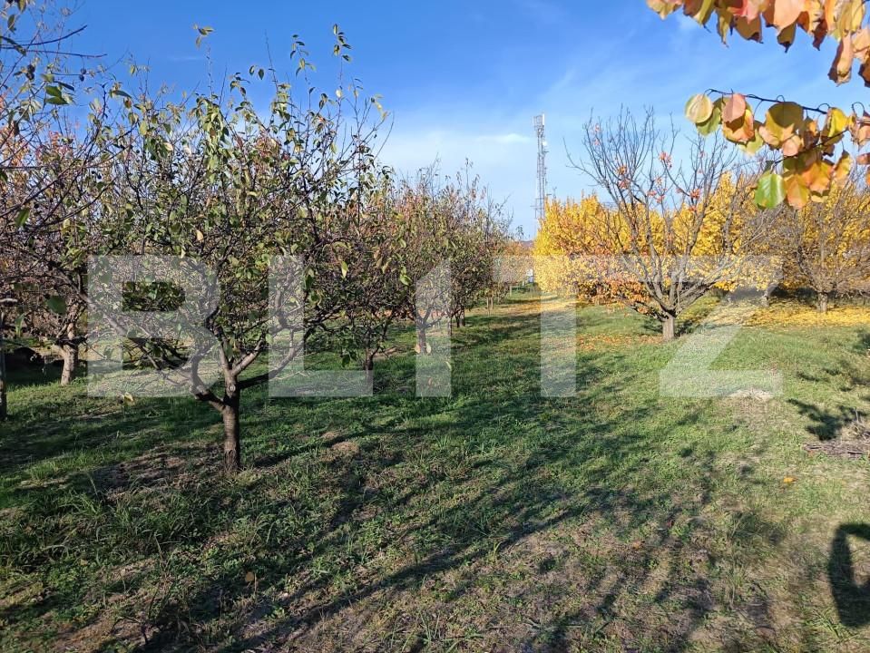 Teren de vânzare Magurele - 161108TV | BLITZ Ploieşti | Poza5