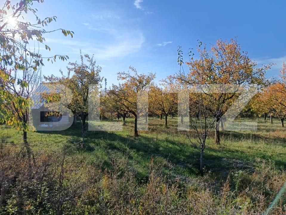 Teren de vânzare Magurele - 161108TV | BLITZ Ploieşti | Poza4