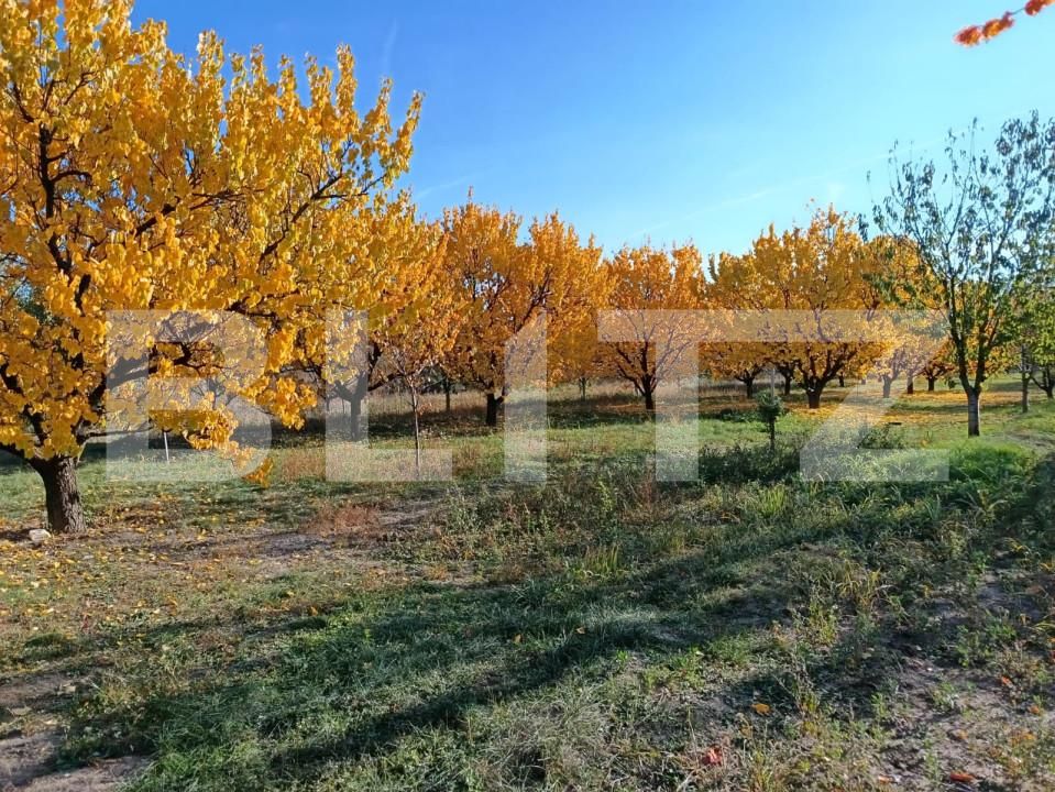Teren de vânzare Magurele - 161108TV | BLITZ Ploieşti | Poza1