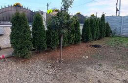 Casa individuala , 3 camere , teren 780mp , Magurele 