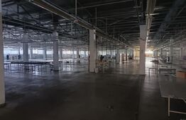 Cladire birouri , hala de productie, spatii depozitare, parcare si teren 14474mp