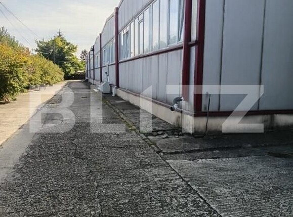 Spațiu comercial de vânzare Lipanesti - 162134SVC | BLITZ Ploieşti | Poza3