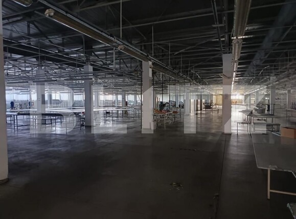 Spațiu comercial de vânzare Lipanesti - 162134SVC | BLITZ Ploieşti | Poza3