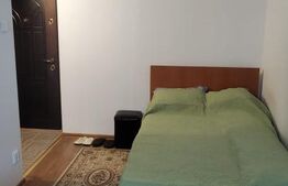 Garsoniera 25 mp, zona Vest