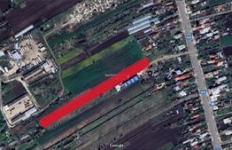 Teren extravilan, 5002 mp, Tatarani