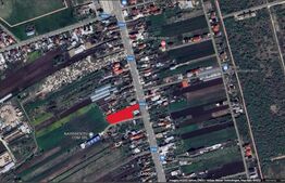 Teren intravilan, 4289 mp, Barcanesti