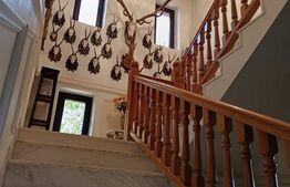 Villa deosebita 6 camere,central Paulesti teren 1150mp complet mobilata