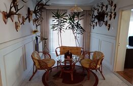 Villa deosebita 6 camere,central Paulesti teren 1150mp complet mobilata