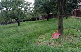 Teren Intravilan Centru Paulesti, parcelabil ,potential enorm pentru Investitii 