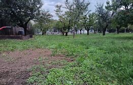 Teren Intravilan Centru Paulesti, parcelabil ,potential enorm pentru Investitii 