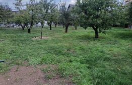 Teren Intravilan Centru Paulesti, parcelabil ,potential enorm pentru Investitii 