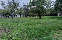 Teren Intravilan Centru Paulesti, parcelabil ,potential enorm pentru Investitii 